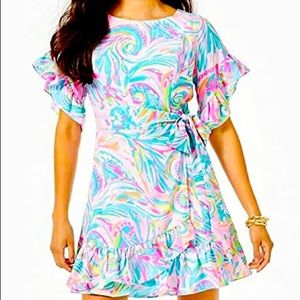 Lilly Pulitzer Darlah Vibrant Stretch Dress NWT 4